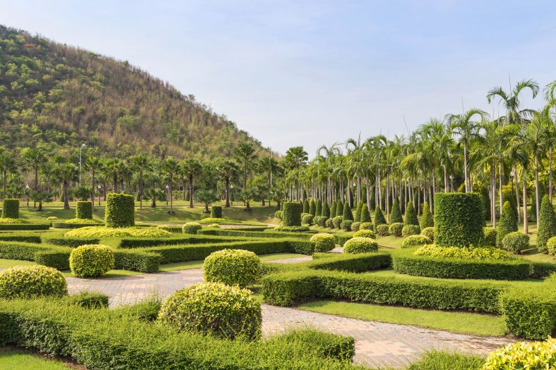 Neatly Pruned Bushes in Front Yard