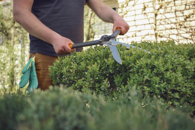 Pruning Equipment